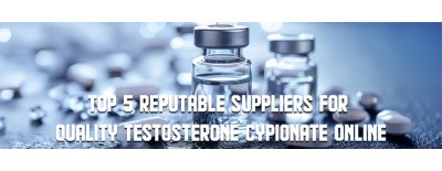Top 5 Reputable Suppliers for Quality Testosterone Cypionate Online